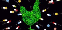 Could residues of growth promoters used in meat production result in Olympic athletes testing positive for drug use?