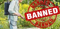 What would be the consequences if the weedkiller glyphosate is restricted or banned? Here’s a case study for Missouri