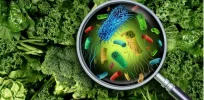 Viewpoint: Misplaced MAHA health strategy: Remove  products that science says are not necessarily harmful while slashing federal programs that work