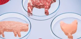 The politics and science of lab-produced cultivated fish and meat in the U.S.