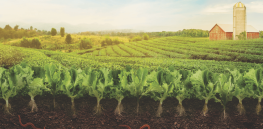 Global regenerative farming market is booming. Here’s why