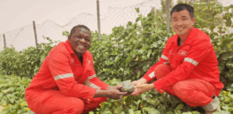 China escalates its push to replace U.S. and Europe in modernizing African farming 