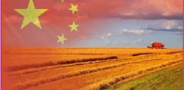 Seeds of influence: As U.S. and other Western countries hesitate to back biotech in Africa, China is redefining global standards around agricultural innovation