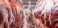 Tariff war: Europe open to trade concessions but draw the line at importing America’s hormone treated ‘beautiful beef’