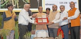 India approves its first gene edited crop—rice that uses less water, reduces carbon emissions and increases yields