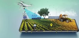 The growing role of AI, automation and renewables in agriculture