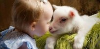 Most mammals are hairy. Why not humans?