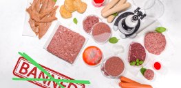 Italy’s ban on cellular meat: Protecting tradition or blocking innovation?