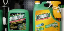 Will RFK, Jr. try to ban glyphosate weedkiller?