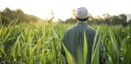 There is no agreed upon definition of regenerative agriculture. Canadian farmers want to change that