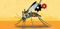 Gene editing holds the potential of suppressing mosquito species that carry deadly diseases — and raises ethical concerns