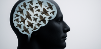 Learning about the brain: It’s less like a machine than a swarm of starlings