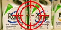 Viewpoint: The health and environmental impacts of glyphosate