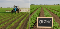Viewpoint: What would be the consequences if we moved from conventional, tech-advanced farming to organic?