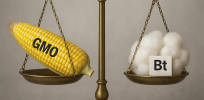 Viewpoint: ‘Kenya must balance GMO adoption against concerns about environmental impact and preserving traditional farming