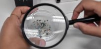 How worried should you be about the health effects of microplastics?