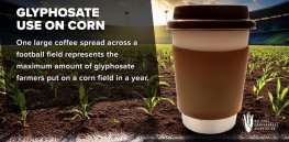 Viewpoint: Here’s why farmers use pesticides like atrazine and glyphosate—and why they are safe
