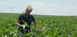 Viewpoint: ‘I’m a mom and a farmer. Here's why it’s safe to use pesticides