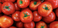 Gene-edited tweaks of produce opens the door to improve tomatoes and rice without using transgenics
