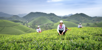 The future is now: China’s meandering research and legal path towards GMO and agricultural gene editing