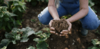 Viewpoint: Can regenerative agriculture spark the beginning of the end for carbon intensive conventional farming?