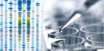 Genetic tests can now predict childhood obesity, especially in whites—and could be employed to sharply curtail it