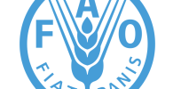 Stepping out of the shadows: UN’s Food and Agriculture Organization voices stronger support for crop biotechnology