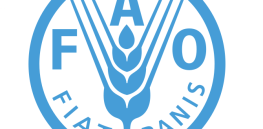 Stepping out of the shadows: UN’s Food and Agriculture Organization voices stronger support for crop biotechnology