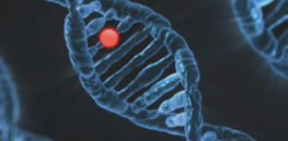 Human intelligence genes linked to cancer
