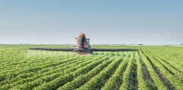 Why cutting out synthetic pesticides will reduce food production and won't help the environment