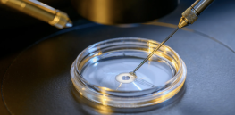 ‘Three parent babies' aren’t new. Here is what science has accomplished so far