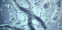 Can gene editing eliminate Down syndrome? Scientists have done it in lab-grown cells
