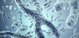Can gene editing eliminate Down syndrome? Scientists have done it in lab-grown cells