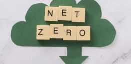 Viewpoint: NGO deception III—Opportunistic activists promote expensive and unrealistic ‘cures’ to fake sustainability crises