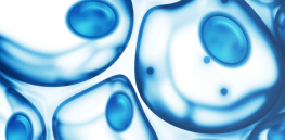 Directed evolution: We can now speed up evolution inside human cells by decades