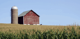 Politics of agriculture? Large southern farms expect to benefit from $258 million in Trump subsidies but others face grimmer future