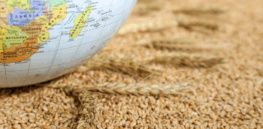 Can gene editing dramatically reduce global hunger?