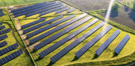 Viewpoint: Video — Big Solar is gobbling up productive agricultural land and hurting farmers yet providing little energy or sustainabilty gains