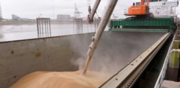 In a dramatic shift to a more science-based food policy, Europe eases restrictions on importing GMO feed grain from the U.S.