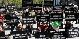 Viewpoint: Environmental activists' doomsday pessimism undermines agricultural biotechnology