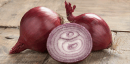 Bio-based UV filter extracted from onions could replace petroleum in solar cells, improving solar tech sustainability
