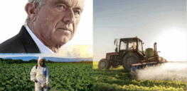 Debate over crop chemicals driving a wedge between original MAHA and MAGA converts