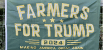 ‘Praying to God for help’: With agricultural policy in disarray, Trump-voting farmers stumble through a catastrophic year