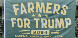 ‘Praying to God for help’: With agricultural policy in disarray, Trump-voting farmers stumble through a catastrophic year