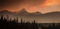 Misinformation alert: No, glyphosate use in Canadian forests is not spurring more wildfires