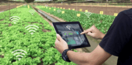 Viewpoint — ‘Less food waste, lower carbon footprints and a socially sensitive food system’: Tech-enabled farming intensification is the only science-based path to sustainability