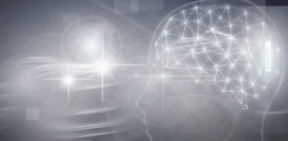 Are human’s 5 senses the optimal number to interpret the world or might evolution provide better tools over time?