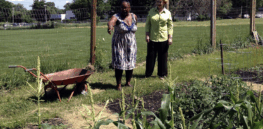  ‘DEI is a red herring’: How Ag Secretary Rollins’ targeting of food programs is hitting the rural poor in the U.S. hard