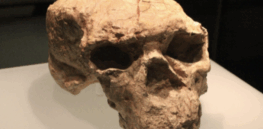 'It doubles the time of origin of the human species': How digital technology is rewriting the origin of humanity