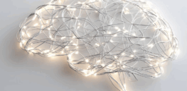 What’s the difference between human intelligence and AI? Not very much